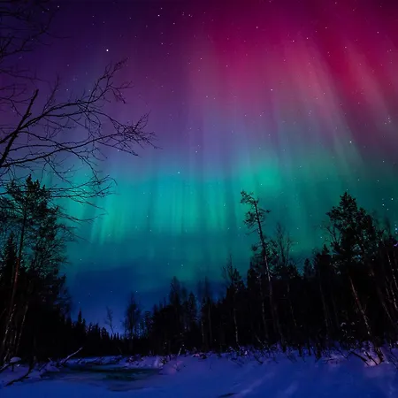 Base Camp - North Side * Levi