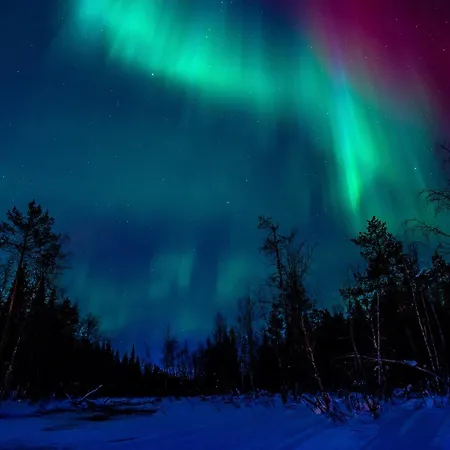 Base Camp - North Side Levi