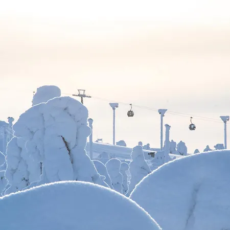 Base Camp - North Side Levi