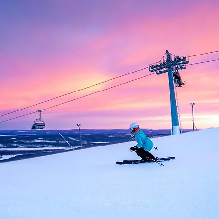 Base Camp - North Side Levi