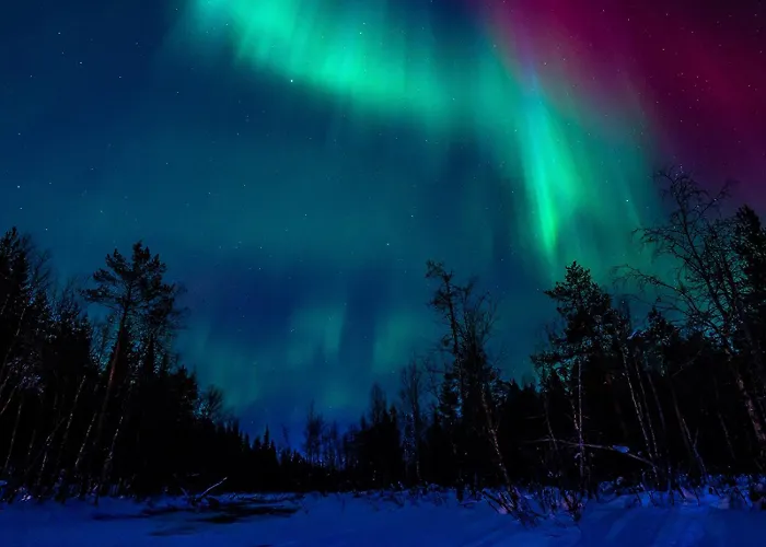 Base Camp - North Side 列维