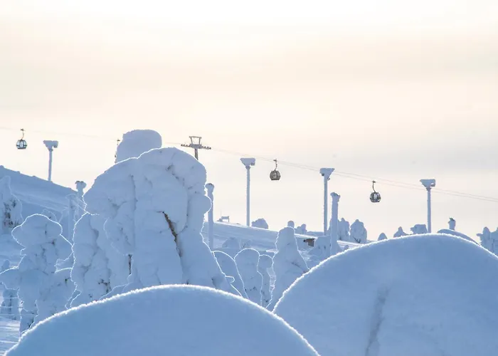 Base Camp - North Side 列维